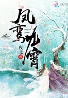 夜北小说《凤鸾九霄》