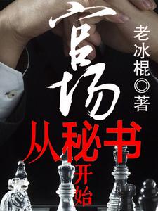 老冰棍小说《官场从秘书开始》