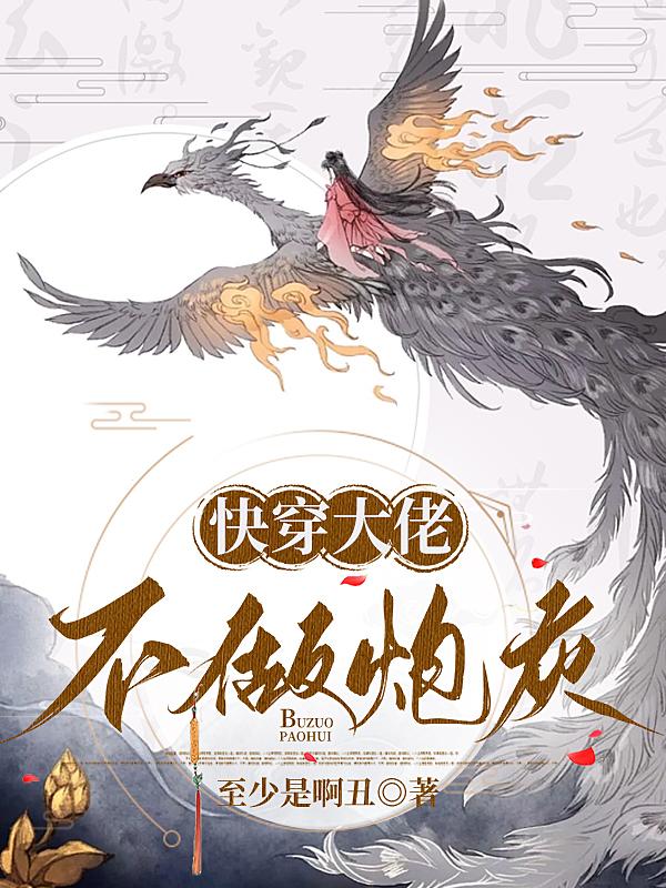 至少是啊丑小说《快穿大佬不做炮灰》