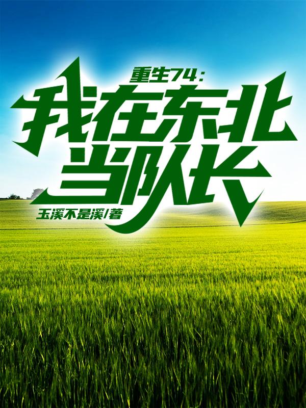 玉溪不是溪小说《重生74：我在东北当队长》
