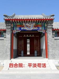 爱吃龟苓汤的陈寻风小说《四合院：我只想活着》