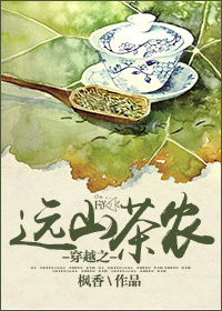 枫香小说《穿越之远山茶农》
