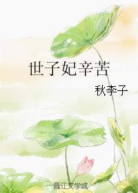 秋李子小说《世子妃辛苦》