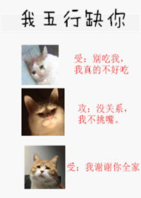 西子绪小说《我五行缺你》