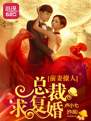 卢小七小说《前妻撩人：总裁求复婚》