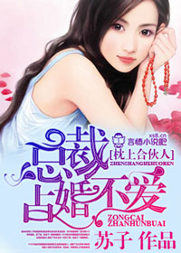 苏子小说《枕上合伙人，总裁占婚不爱》