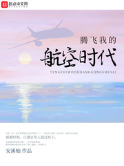 安溪柚小说《腾飞我的航空时代》