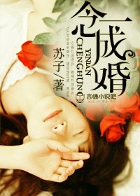 苏子小说《一念成婚》