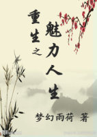 梦幻雨荷小说《重生之魅力人生》