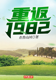 青普山河小说《重返1982》